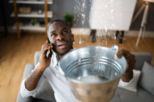 Best Carpet water damage restoration  in Litchfield Beach, SC