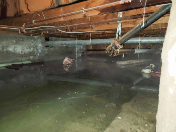 Best Commercial water damage restoration  in Litchfield Beach, SC