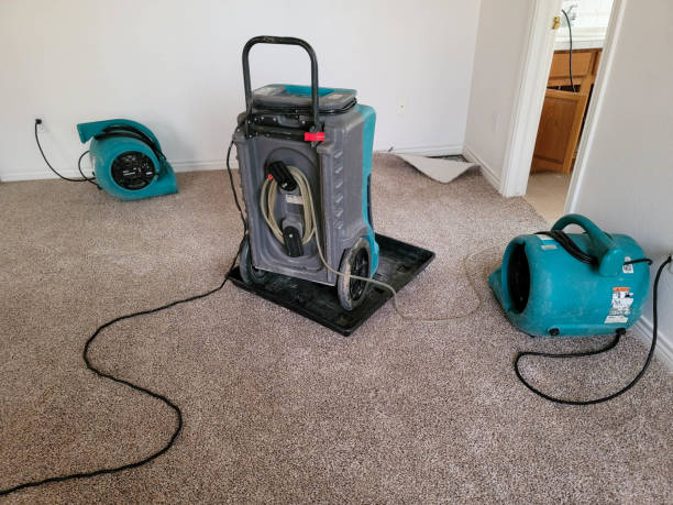 Best Residential water damage restoration  in Litchfield Beach, SC