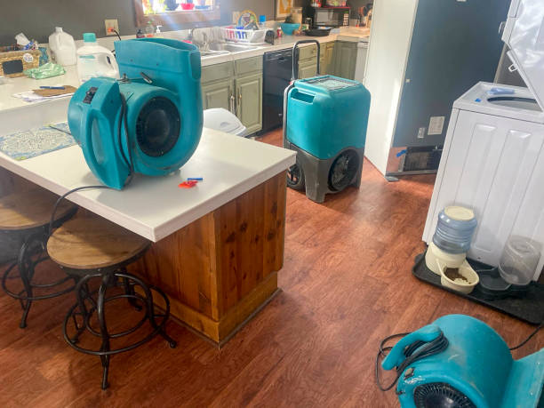 Professional Water damage restoration in SC
