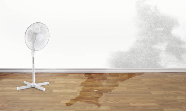 Best Water damage restoration insurance claims  in Litchfield Beach, SC
